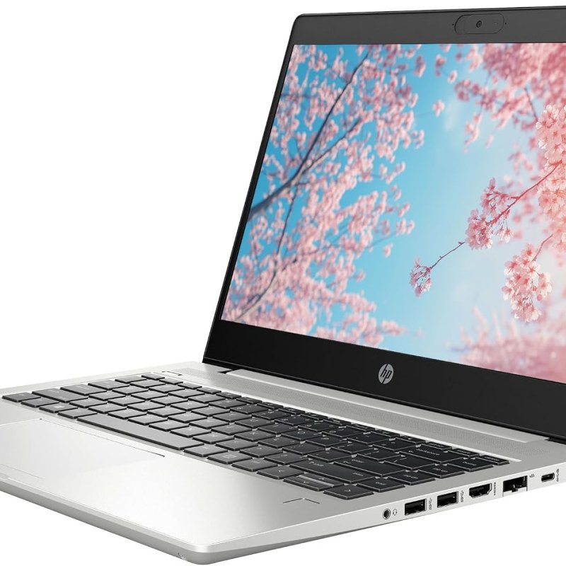 HP ProBook 440 G7 Laptop Computer, 10th Gen Intel Quad-Core i5-10210U, 8GB DDR4 RAM, 256GB SSD