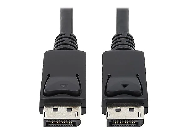DisplayPort to DisplayPort Cable - Black view 2