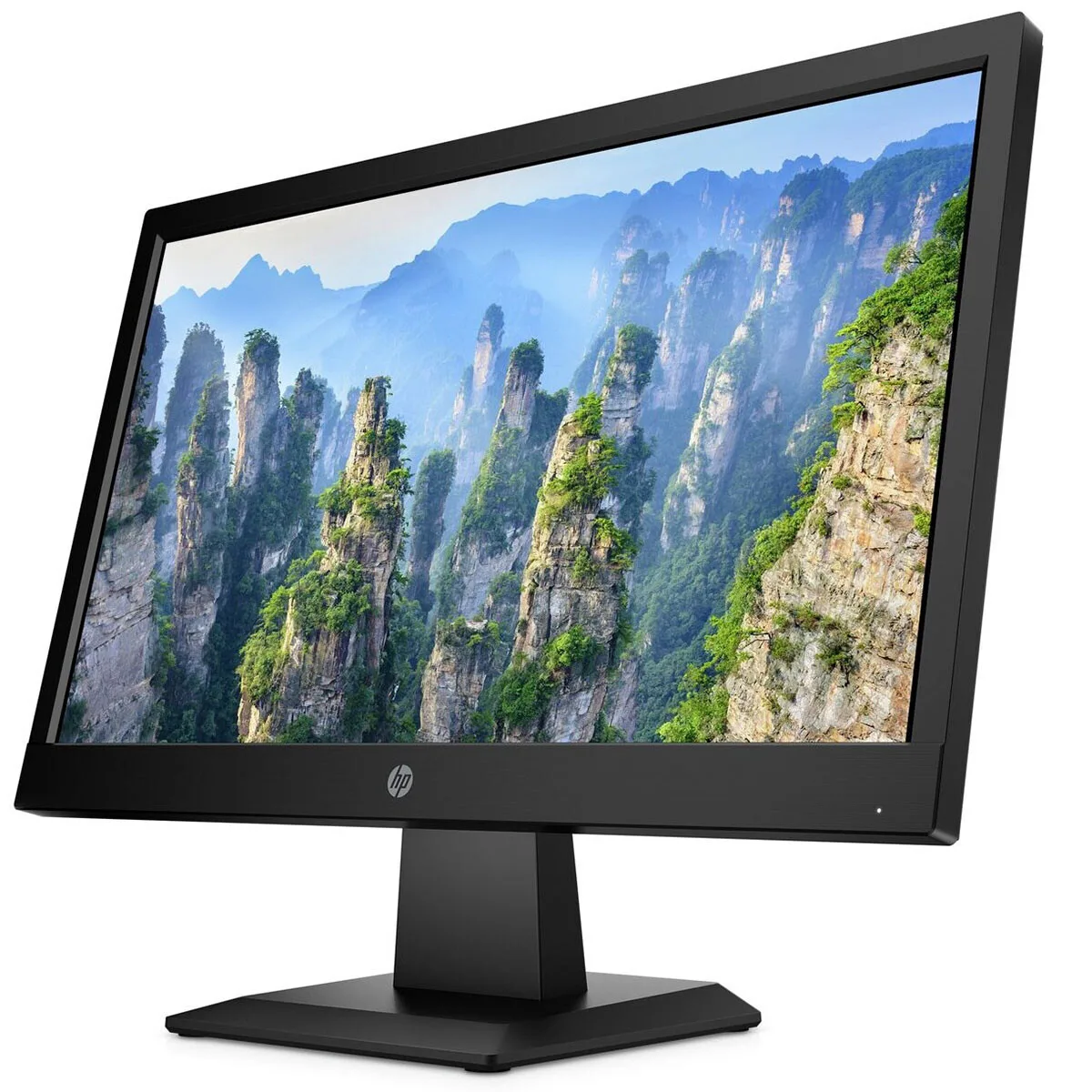 HP 19-Inch LED-Lit Monitor view 1