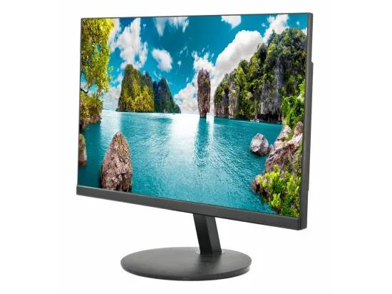 Planar PLN2200 22-Inch Full HD Monitor